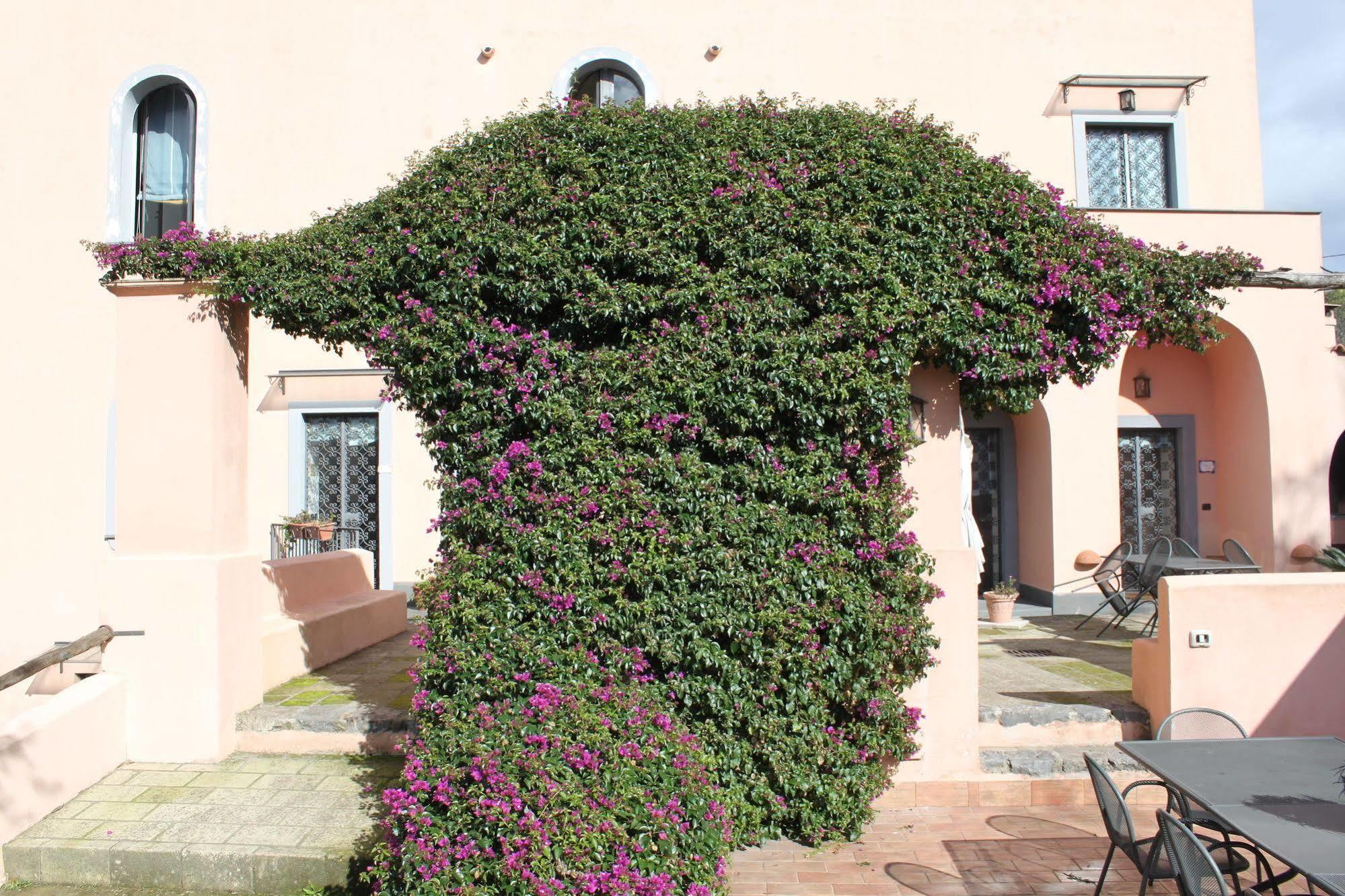Flegrea House Aparthotel Ποτσουόλι Εξωτερικό φωτογραφία